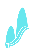dev.wantaoltd.com